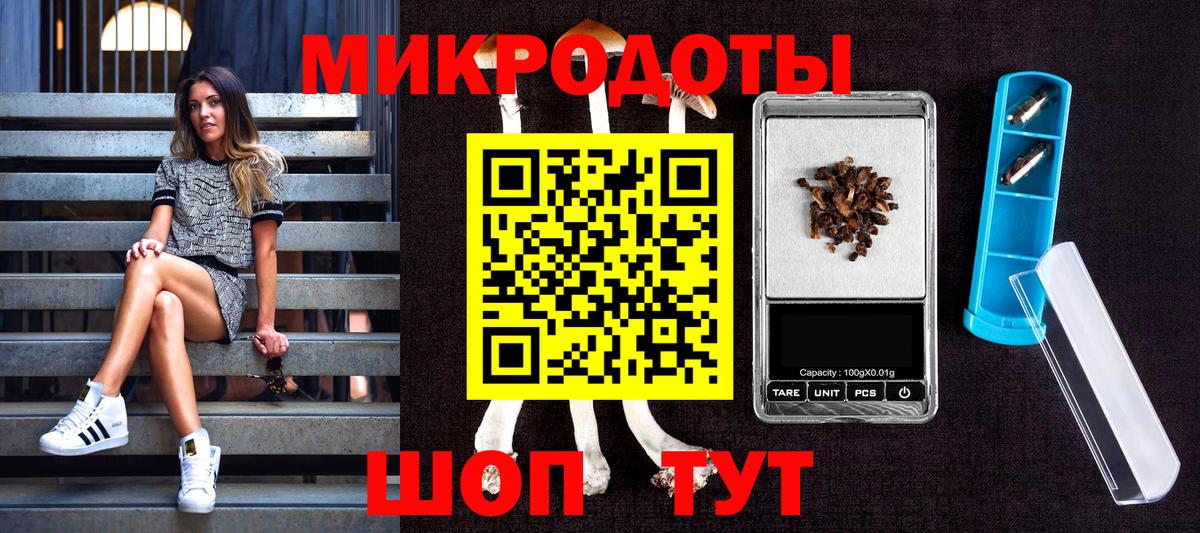 Галлюциногенные грибы Cubensis Прохладный